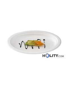 assiettes-ovales-jetables-h34715