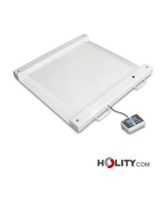 balance-professionnelle-pour-personnes-hanidcapées-h585_34