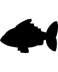 Tableau adhésif en forme de poisson h14848 