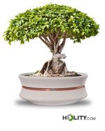 jardinière-circulaire-pour-espaces-publics-h319_73