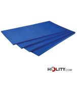 Matelas-de-physiothérapie-en-mousse-de-polyuréthane-h3-cm-h581_58
