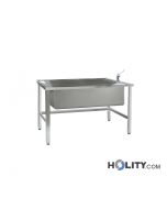 baignoire-de-lavage-vétérinaire-h601_32