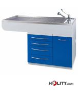 baignoire-toilettage-sur-meuble-h797-13