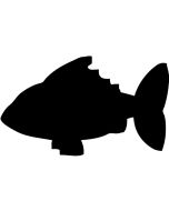 Tableau adhésif en forme de poisson h14848 