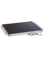 plaque-chauffante-pour-aliments-h22073