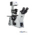 microscope-inversé-de-laboratoire-h595_08