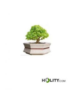 jardinière-hexagonale-pour-mobilier-urbain-h287-313