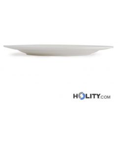 aassiettes-en-porcelaine-h464_371