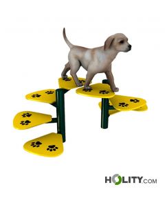 Echelle-pour-parcours-dagility-dog-h521_35