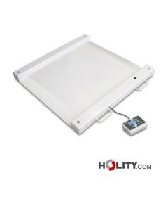 balance-professionnelle-pour-personnes-hanidcapées-h585_34