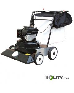 Aspirateur-de-feuilles-à-poussée-h831_01