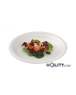 assiettes-jetables-biodégradables-h34712