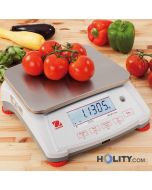 balance-professionnelle-alimentaire-h32417