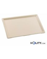 Plateau-en-polyester-Gastronorm-h282-58