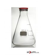 erlenmeyer-de-sécurité-h329-46