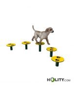 Parcours-pour-agility-dog-h521_32