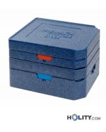 Conteneur-isotherme-pour-service-de-livraison-h577_06