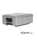 conteneur-isothermique-transport-plats-h651_01