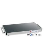 plaque-chauffante-pour-plats-h22072