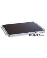 plaque-chauffante-pour-aliments-h22073