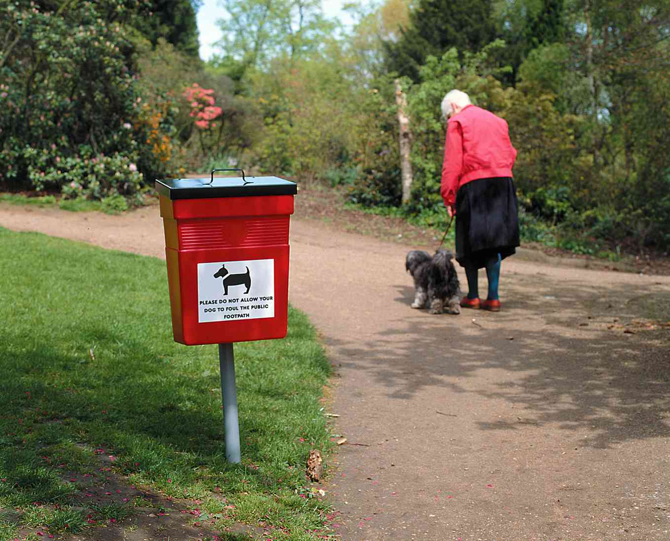 Élimination des déjections canines : tout ce que vous devez savoir !
