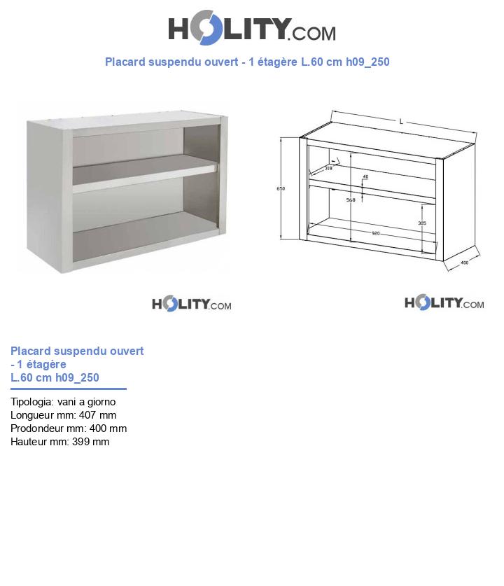 Placard suspendu ouvert - 1 étagère L.60 cm h09_250