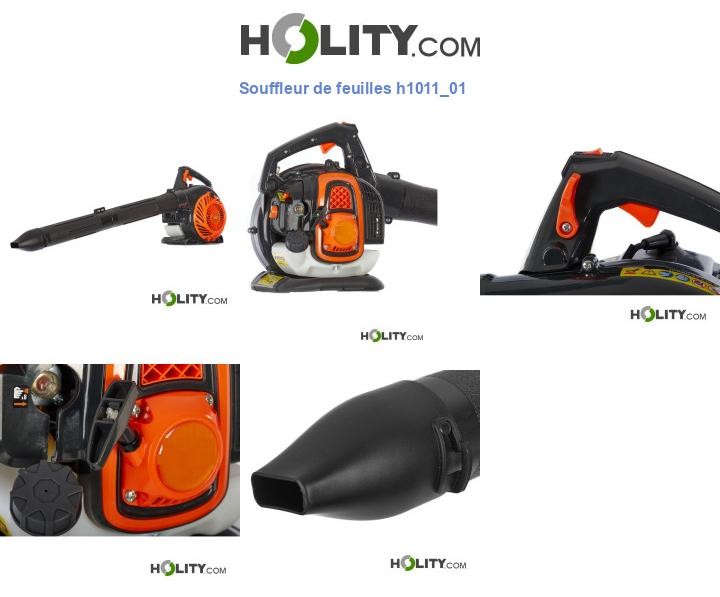 Souffleur de feuilles h1011_01