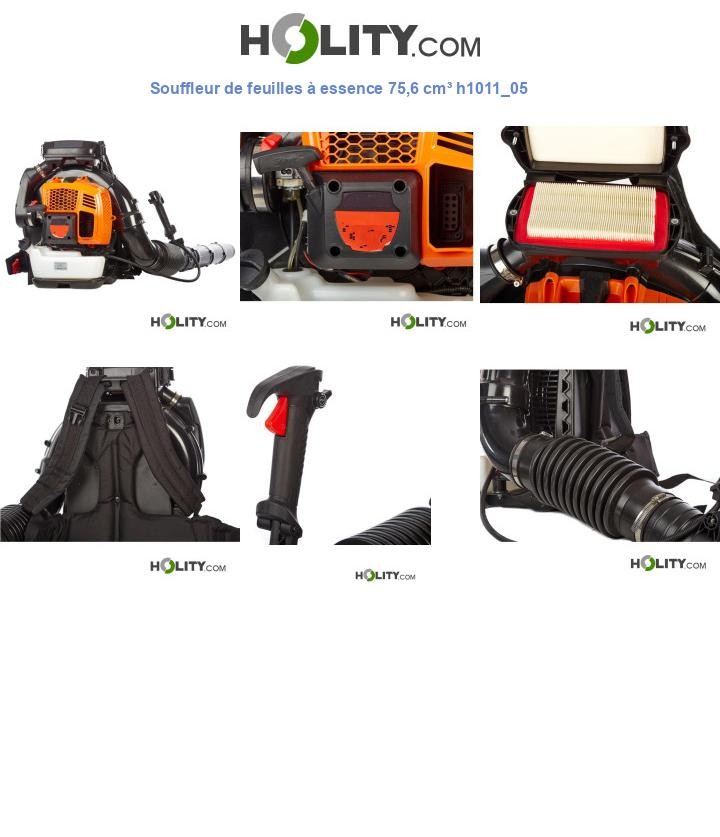 Souffleur de feuilles à essence 75,6 cm³ h1011_05