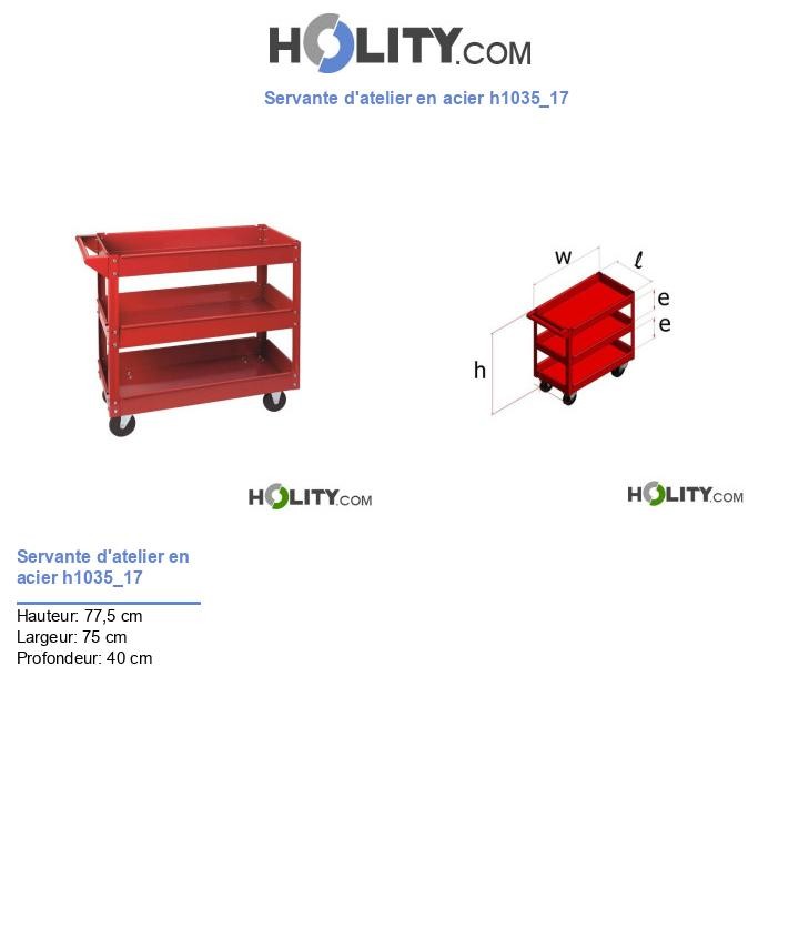 Servante d'atelier en acier h1035_17