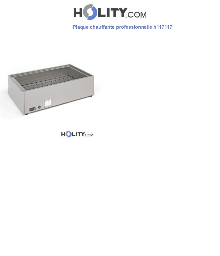Plaque chauffante professionnelle h117117