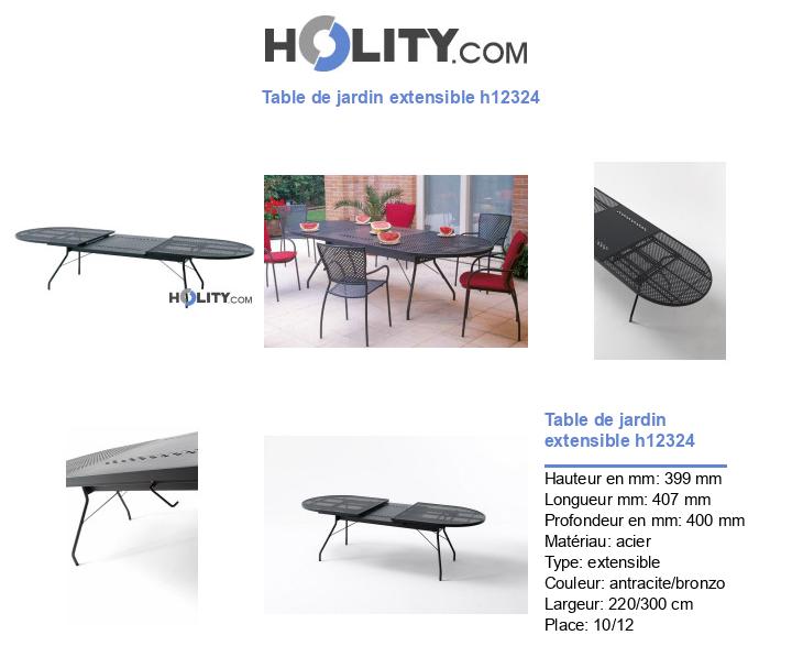 Table de jardin extensible h12324