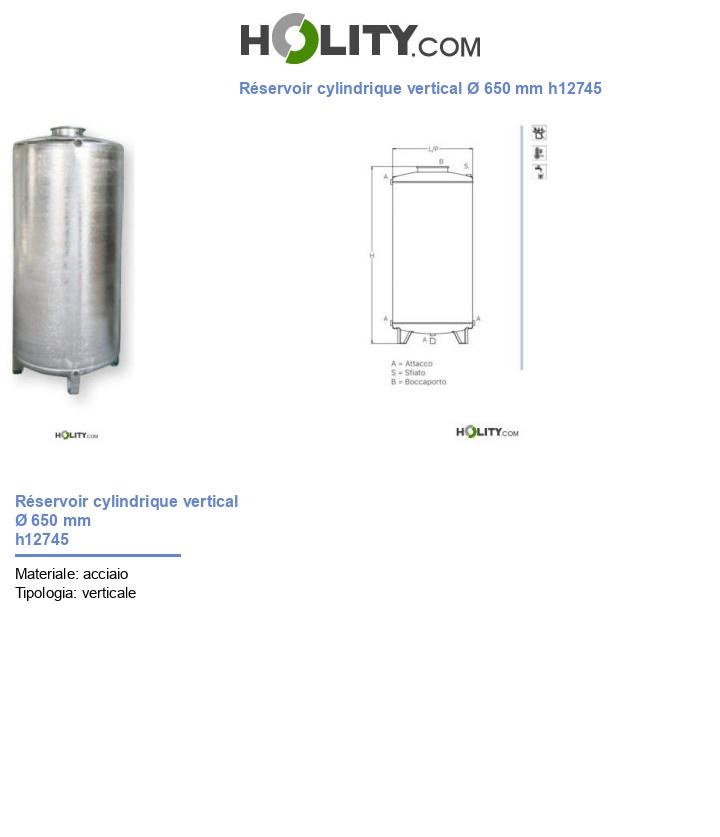 Réservoir cylindrique vertical Ø 650 mm h12745
