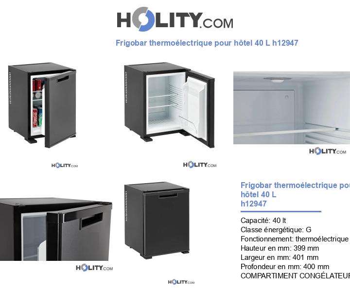 Frigobar thermoélectrique pour hôtel 40 L h12947
