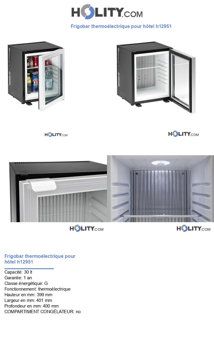 Frigobar thermoélectrique pour hôtel h12951