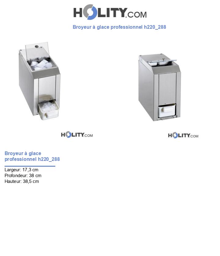Broyeur à glace professionnel h220_288