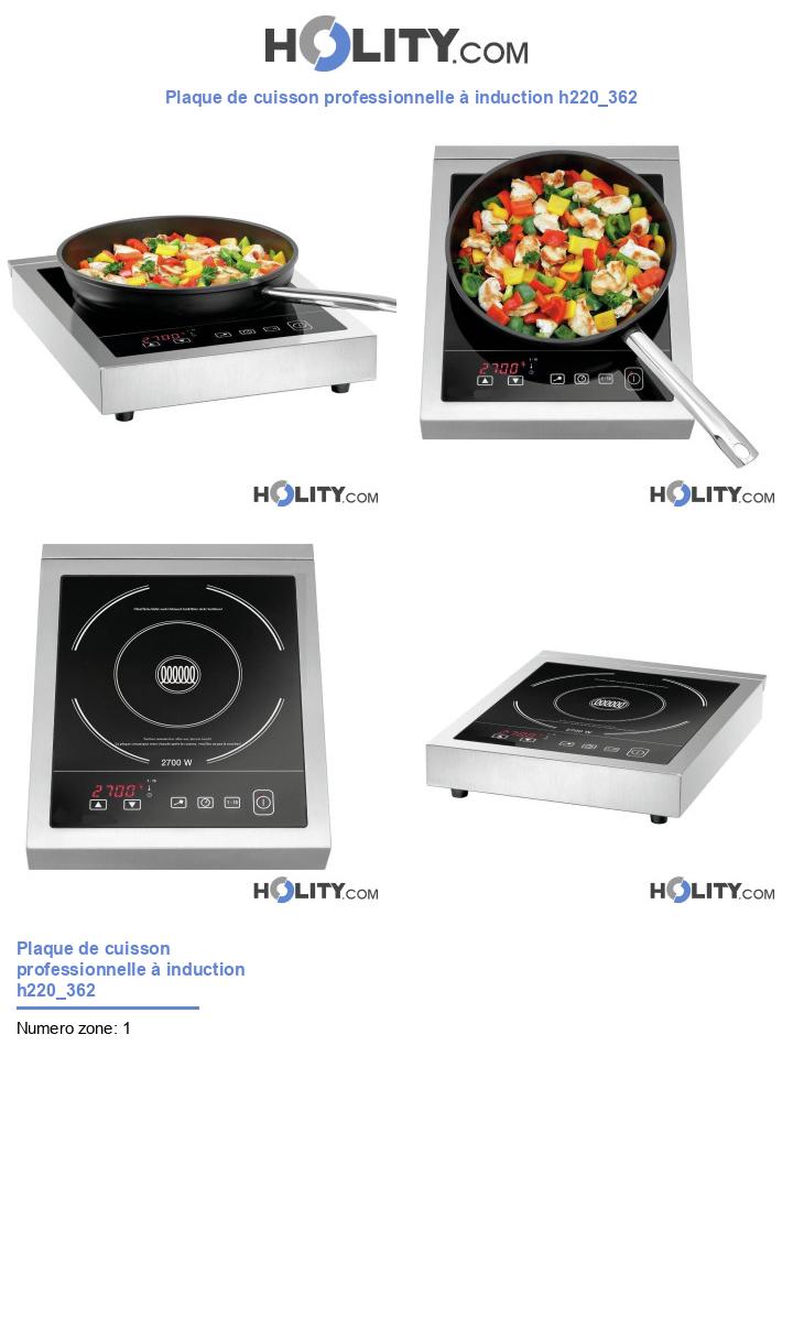 Plaque de cuisson professionnelle à induction h220_362