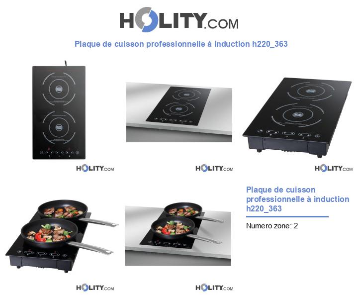 Plaque de cuisson professionnelle à induction h220_363