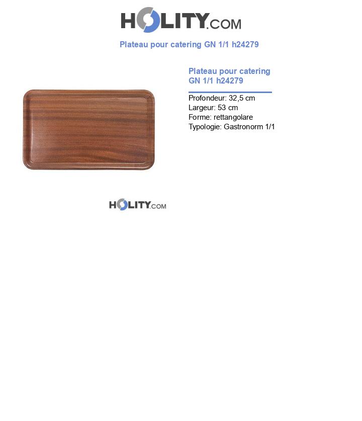 Plateau pour catering GN 1/1 h24279