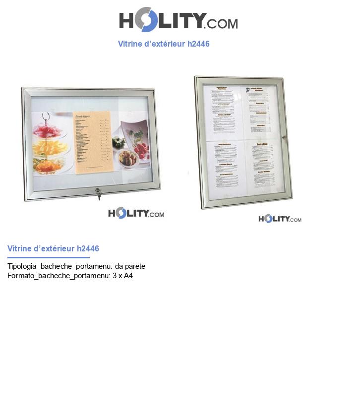Vitrine d’extérieur h2446