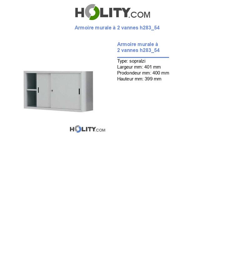 Armoire murale à 2 vannes h283_54