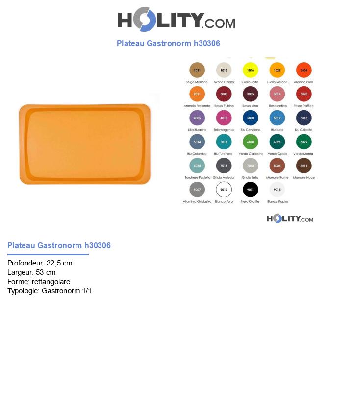 Plateau Gastronorm h30306