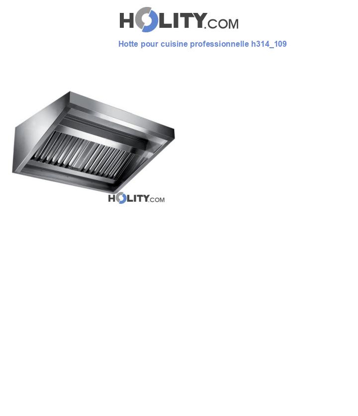 Hotte pour cuisine professionnelle h314_109