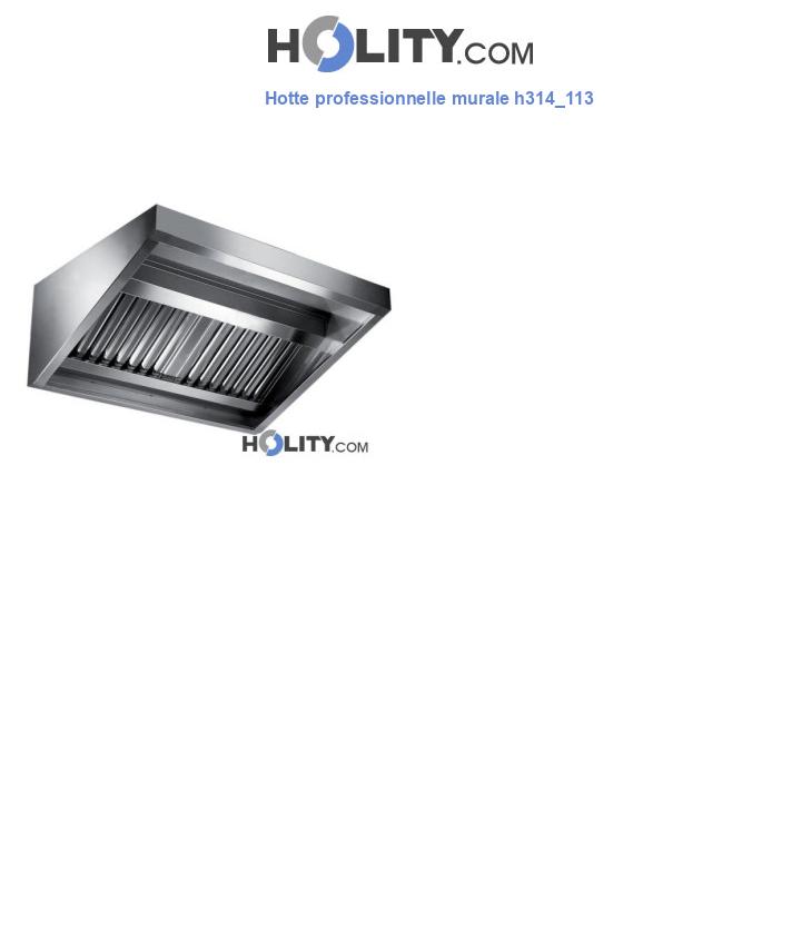 Hotte professionnelle murale h314_113