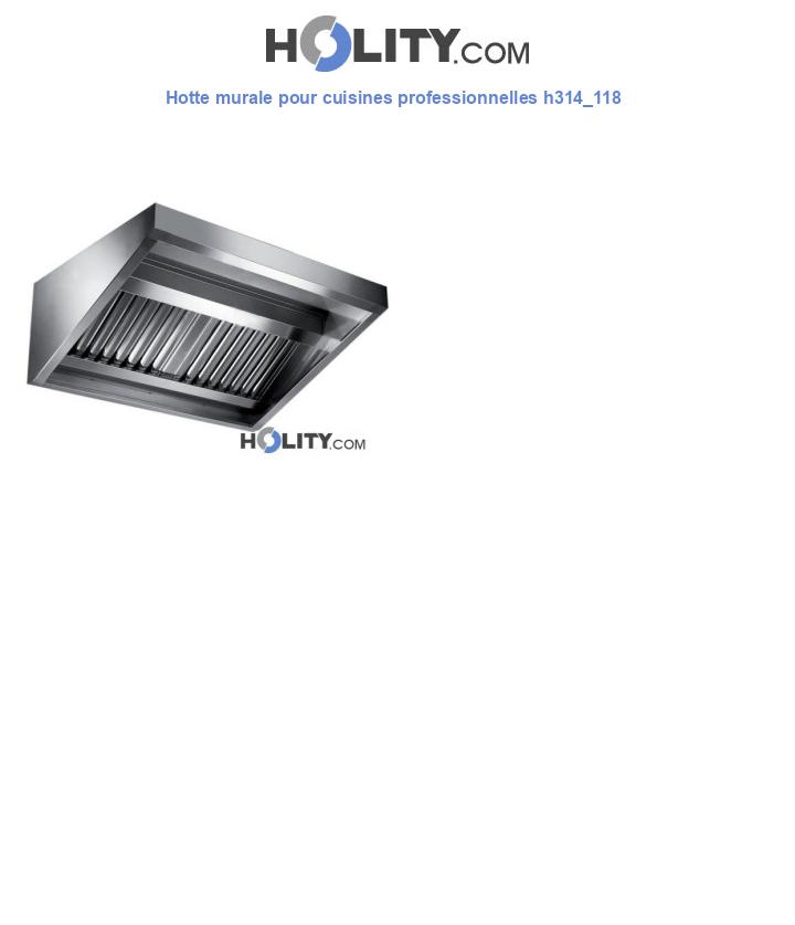 Hotte murale pour cuisines professionnelles h314_118