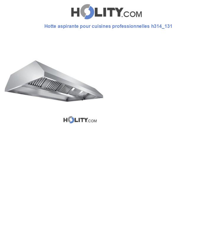 Hotte aspirante pour cuisines professionnelles h314_131