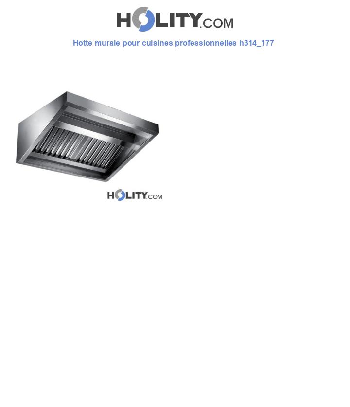 Hotte murale pour cuisines professionnelles h314_177