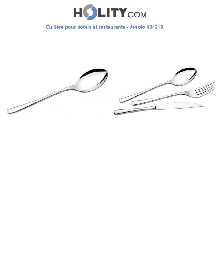 Cuillère pour hôtels et restaurants - Jesolo h34218