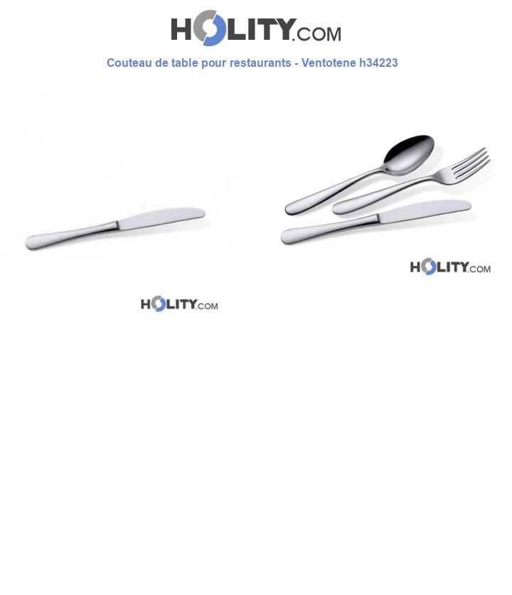 Couteau de table pour restaurants - Ventotene h34223