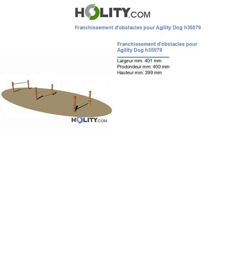 Franchissement d'obstacles pour Agility Dog h35079