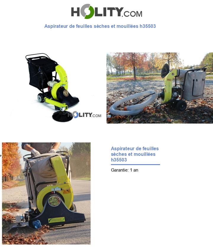 Aspirateur de feuilles sèches et mouillées h35503